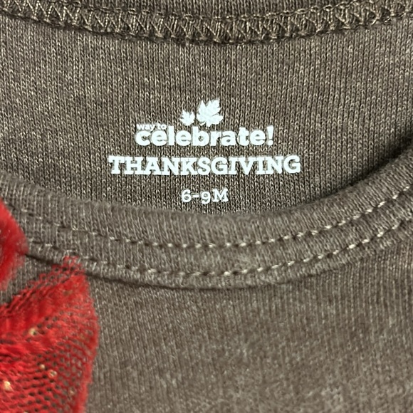 Thanksgiving outfit - Picture 2 of 2